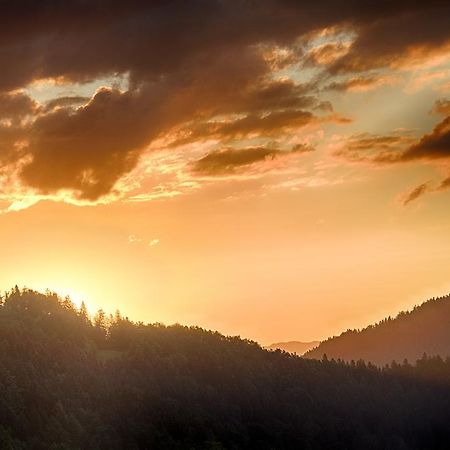 Gostilna Pension Blegos Poljane nad Škofjo Loko المظهر الخارجي الصورة