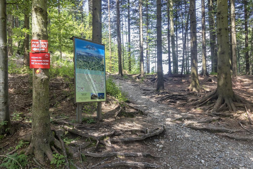 Gostilna Pension Blegos Poljane nad Škofjo Loko المظهر الخارجي الصورة