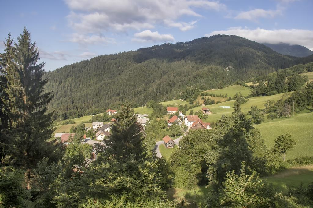 Gostilna Pension Blegos Poljane nad Škofjo Loko المظهر الخارجي الصورة