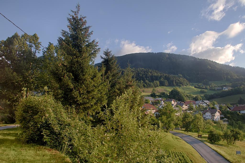 Gostilna Pension Blegos Poljane nad Škofjo Loko المظهر الخارجي الصورة