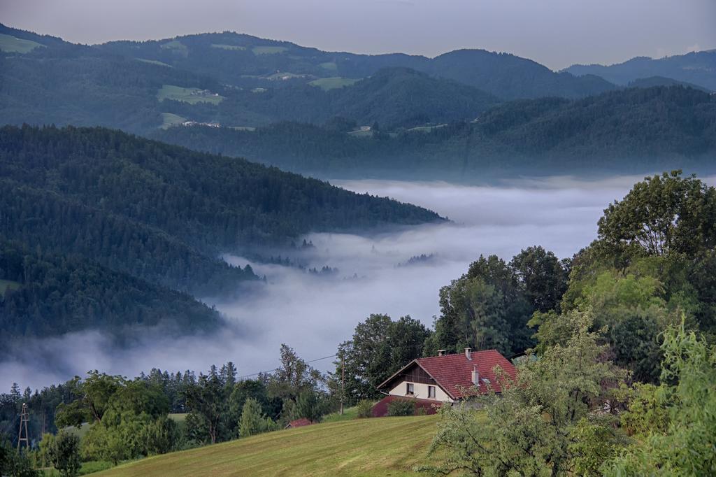 Gostilna Pension Blegos Poljane nad Škofjo Loko المظهر الخارجي الصورة