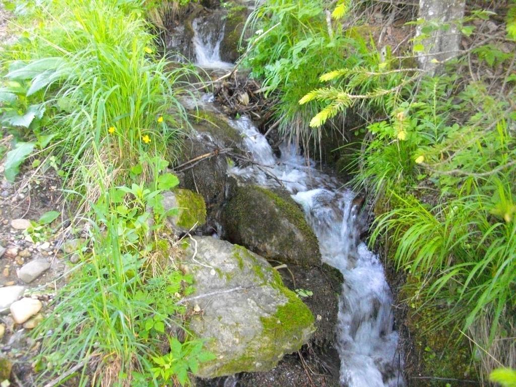 Gostilna Pension Blegos Poljane nad Škofjo Loko المظهر الخارجي الصورة