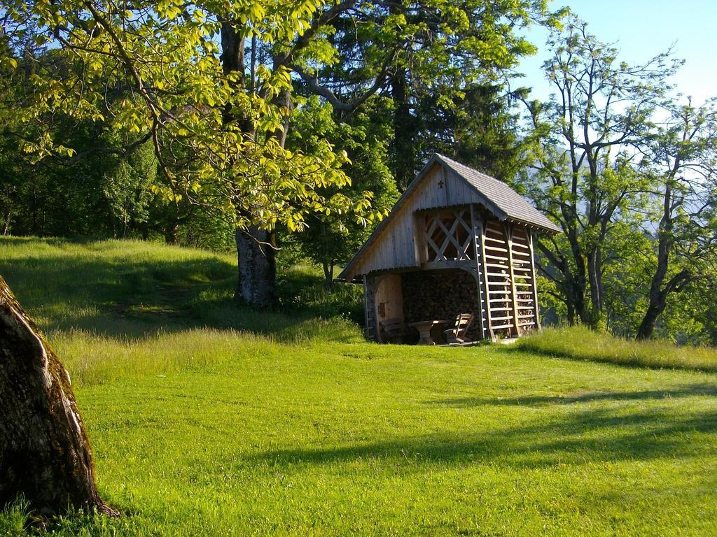 Gostilna Pension Blegos Poljane nad Škofjo Loko المظهر الخارجي الصورة